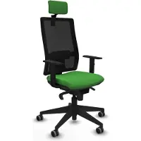 Piqueras Y Crespo Chaise de bureau , modèle 1D066G2, couleur verte