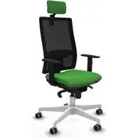 Piqueras Y Crespo Chaise de bureau , modèle 1D026G2, couleur verte