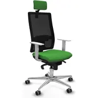 Piqueras Y Crespo Chaise de bureau , modèle 4B086G2, couleur verte