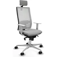 Piqueras Y Crespo Chaise de bureau , modèle 4B086N2, couleur gris clair