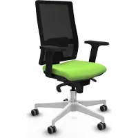 Piqueras Y Crespo Chaise de bureau Horna , modèle 2D026G0, couleur pistache