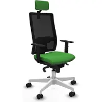 Piqueras Y Crespo Chaise de bureau , modèle 1D026N2, couleur verte