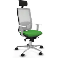 Piqueras Y Crespo Chaise de bureau , modèle 4B086N1, couleur verte