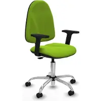 Piqueras Y Crespo Chaise de bureau , modèle B2D05RF, couleur pistache