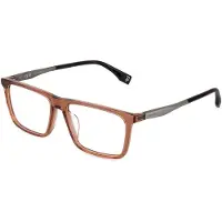 Police Vplv41 15x53x145mm Reading Glasses Marron Homme