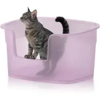 OEM Grande litière pour chat, dimensions : 63 cm x 45 cm x 33 cm de profondeur, facile à nettoyer, entrée basse, anti-odeurs, transparente, de couleur violette