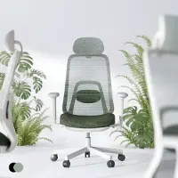 FlexiSpot - Fauteuil de bureau ergonomique à dossier inclinable, avec mécanisme d'équilibre dynamique et repose-pieds, accoudoirs 3D, support lombaire adaptable, et design dégradé vert