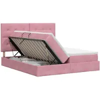 vidaXL Lit avec rangement et tête de lit rose 200 x 200 cm velours