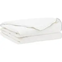 vidaXL Couverture de lit FULDA, 240 x 260 cm, modèle été, 100 GSM, 90 % duvet de canard