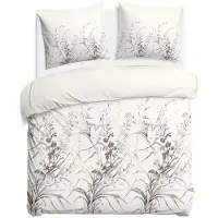 Darymex Parure de lit, parure de lit en flanelle, pour l'hiver, chaude, taille 160x200, référence 31525-2, motifs floraux délicats