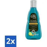 Guhl - Shampooing 3 en 1 - Fraîcheur & Soin Homme - 250 ml - Pack avantage - 2 pièces