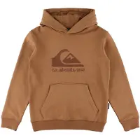 Quiksilver Sweat à Capuche Comp Logo