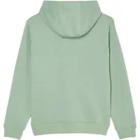 Quiksilver Comp Logo Hoodie Vert 12 Years Garçon