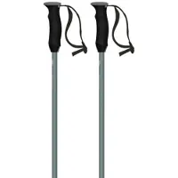 Atomic Revent Poles Argenté 125 cm