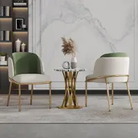 Great han Ensemble de 2 chaises de salle à manger modernes, avec pieds inclinés, pieds réglables, assise rembourrée, style cuisine/salon, couleurs : vert, doré, beige