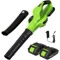 StarTech.com Souffleur de feuilles sans fil - Souffleur d'air électrique - 800 W - 2 vitesses - Livré avec 2 batteries - Idéal pour le jardin et la pelouse