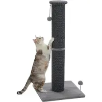 StarTech.com Arbre à gratter pour chat d'intérieur - Colonne de grattage individuelle, taille XS - Tige en bois stable - Idéal pour les chats et chatons actifs - Avec jouets suspendus