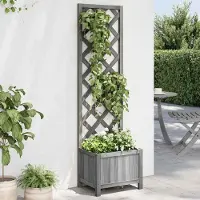 Prolenta Maison Exclusive - Jardinière avec treillis, 40x30x135 cm, en bois massif de sapin