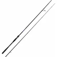 Ryobi Fishing Ryobi Excia Spinning Rod Argenté 3.04 m