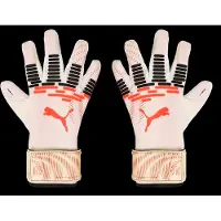 Puma Gants De Gardien De But Future Pro Sgc