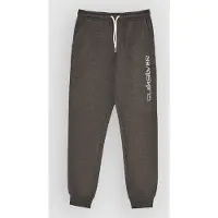 Quiksilver Slim Joggers Gris 16 Years Garçon