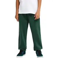 Quiksilver Regular Joggers Vert 10 Years Garçon
