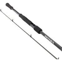 Golden Catch Vittor 24 Spinning Rod Argenté 2.44 m / 4-22 g