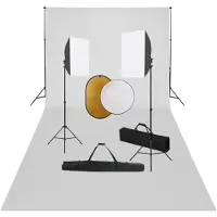 vidaXL Kit de studio photo boîtes à lumière toile de fond réflecteur