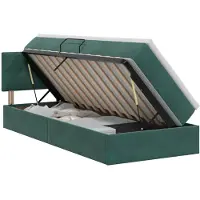 vidaXL Lit avec rangement et tête de lit Vert foncé 100 x 200 cm Velours