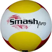 Gala Ballon de beach-volley Smash Pro 5363s