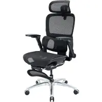 Ultradesk INNOVATOR : chaise de bureau ergonomique, noire (45.50 - 52.80 cm)