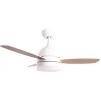 Jocca Ventilateur De Plafond Avec Lumière