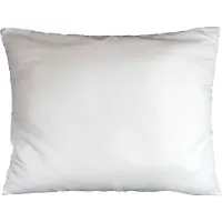 Douceur d'intérieur Oreiller - - Polyester - 50x70 cm - Blanc