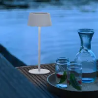 Lightbox Lampe de table LED d'extérieur, solaire, variateur à 3 niveaux, 30cm, Ø13cm, 300lm, blanc