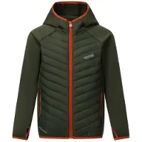 Regatta Andreson Jacket Vert 11 Years Enfants