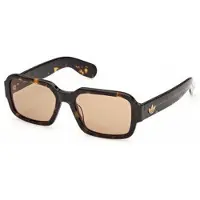 Adidas Originals Or0154 18x55x145 Sunglasses Noir Brown/CAT2