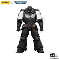 Joy toy Figurine Warhammer 40,000, Black Templars, Intercessor, 12 cm
