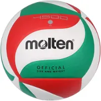 Molten - Logo de volley-ball en similicuir PP240 (4) (multicolore)