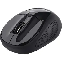 Trust 24658 souris Ambidextre RF sans fil Optique 1600 DPI