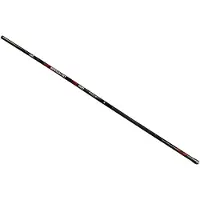 Carp Expert Specialist Coup Rod Argenté 6.00 m