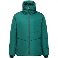 Regatta Amelle Jacket Vert 36 Femme