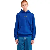 Element Lowcase Bp Hoodie Bleu S Homme