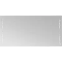 vidaXL Miroir de salle de bain LED , transparent, 100 x 50 cm, en verre trempé