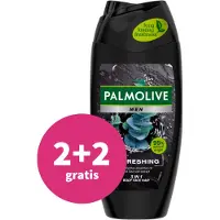 Palmolive Gel douche 250 ml pour hommes - Rafraîchissant