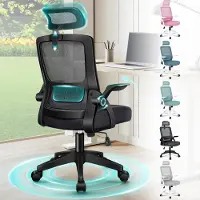 Merkloos Chaise de bureau ergonomique avec soutien lombaire et accoudoirs pliables - Noir