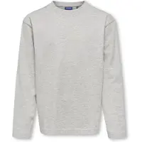Only & Sons Junior T-Shirt 'OSJFRED' gris chiné