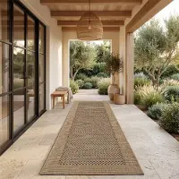Paco Home Tapis d'intérieur et d'extérieur, idéal pour balcon, terrasse ou cuisine. Aspect sisal, bordure simple, couleur unie, beige. Dimensions : 80 x 250 cm