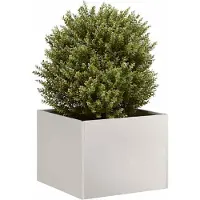 Prolenta Maison Exclusive - Pot de fleurs 40x40x30 cm, en acier inoxydable