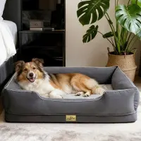Bingopaw Lit pour chien, canapé pour chien, coussin pour chien, bords surélevés, lavable, dimensions : 105 x 75,5 x 21 cm