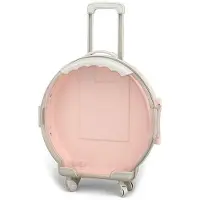 OEM Petite boîte de rangement rose pâle - Mini coffre de rangement pour enfants - Design en ABS de couleur discrète - Boîte de rangement pour bagages pour les tout-petits